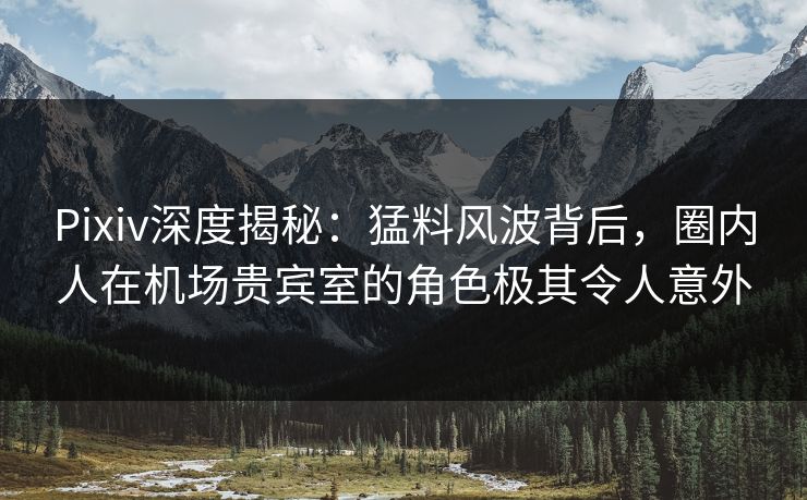 Pixiv深度揭秘：猛料风波背后，圈内人在机场贵宾室的角色极其令人意外