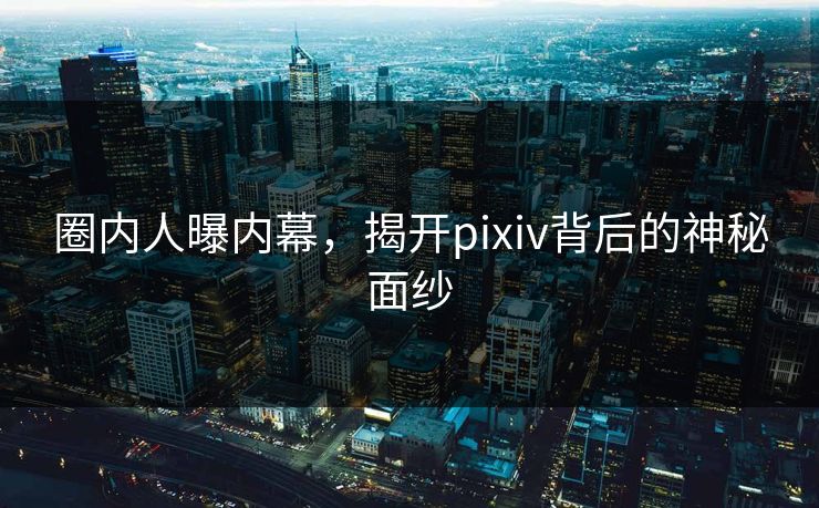 圈内人曝内幕，揭开pixiv背后的神秘面纱