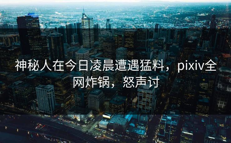 神秘人在今日凌晨遭遇猛料，pixiv全网炸锅，怒声讨