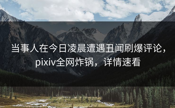 当事人在今日凌晨遭遇丑闻刷爆评论，pixiv全网炸锅，详情速看