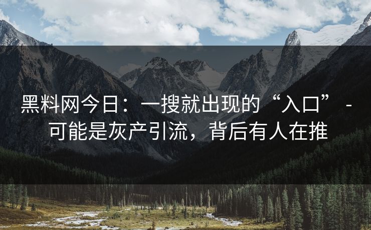 黑料网今日:一搜就出现的“入口” - 可能是灰产引流,背后有人在推 黑料网今日:一搜就出现的“入口” - 可能是灰产引流,背后有人在推