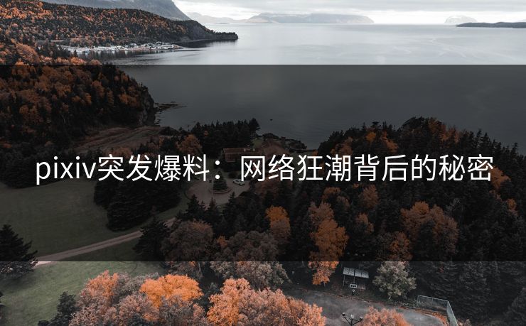 pixiv突发爆料：网络狂潮背后的秘密