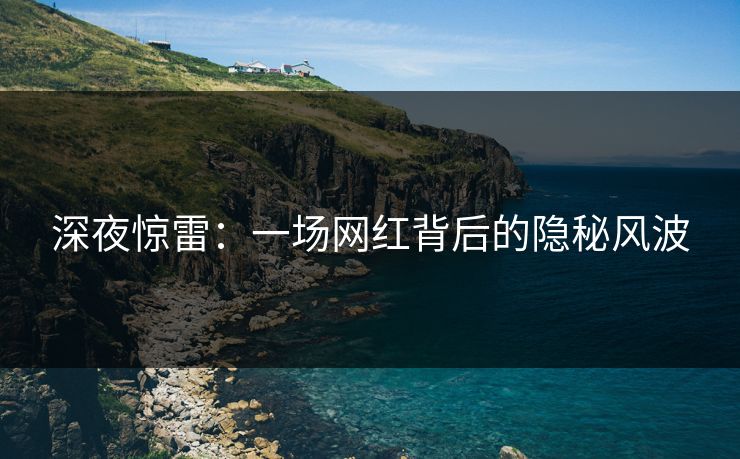 深夜惊雷：一场网红背后的隐秘风波